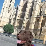 Bonjour Cathedrale By Aroom Vut-le-1187 Апартаменты
