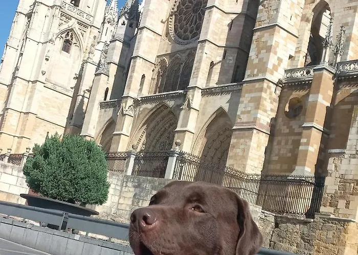 Bonjour Cathedrale By Aroom Vut-le-1187 Apartament